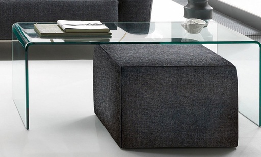 [129/1921] 1921 Bracque / Pouf amb rodes vs.224